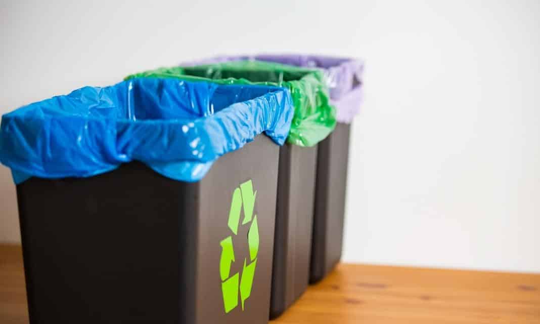 Revolucja ekologiczna w Borzęcinie: Codzienne segregowanie śmieci staje się normą