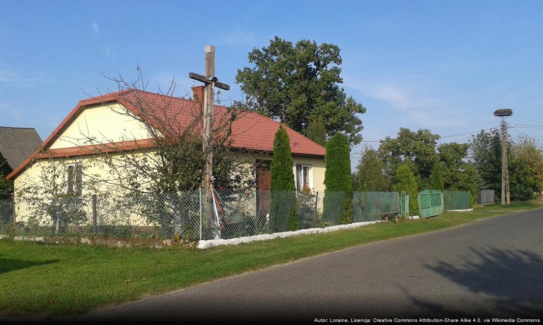W jaki sposób mieszkańcy Borzęcina mogą wspierać zrównoważony rozwój wsi?
